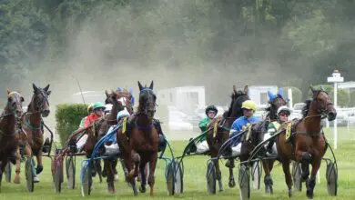 Une semi-nocturne dimanche 26 mai à l'hippodrome de Châteaubriant