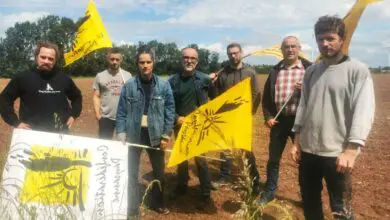 Agriculture : les aides au bio non réglées