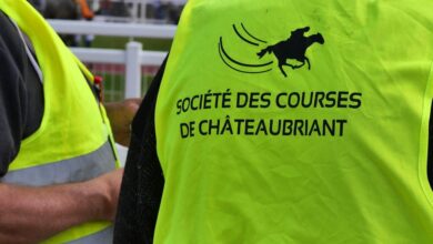 Trois journées en août à l'hippodrome de Châteaubriant