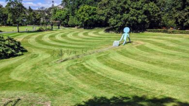 Trois jardins nantais de nouveau distingués