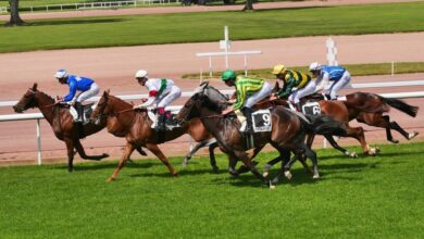 L'hippodrome de Châteaubriant propose une semi-nocturne ce vendredi