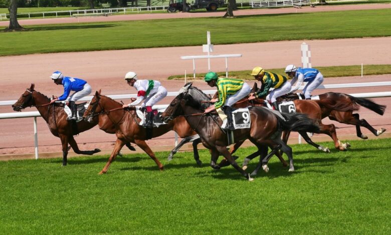 L'hippodrome de Châteaubriant propose une semi-nocturne ce vendredi