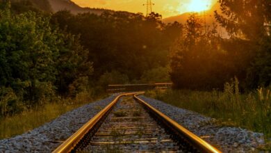 Alerte sur les crèmes de protection solaire à usage professionnel à la SNCF !