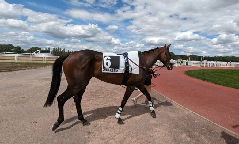 Un dimanche de trot à la Métairie-Neuve