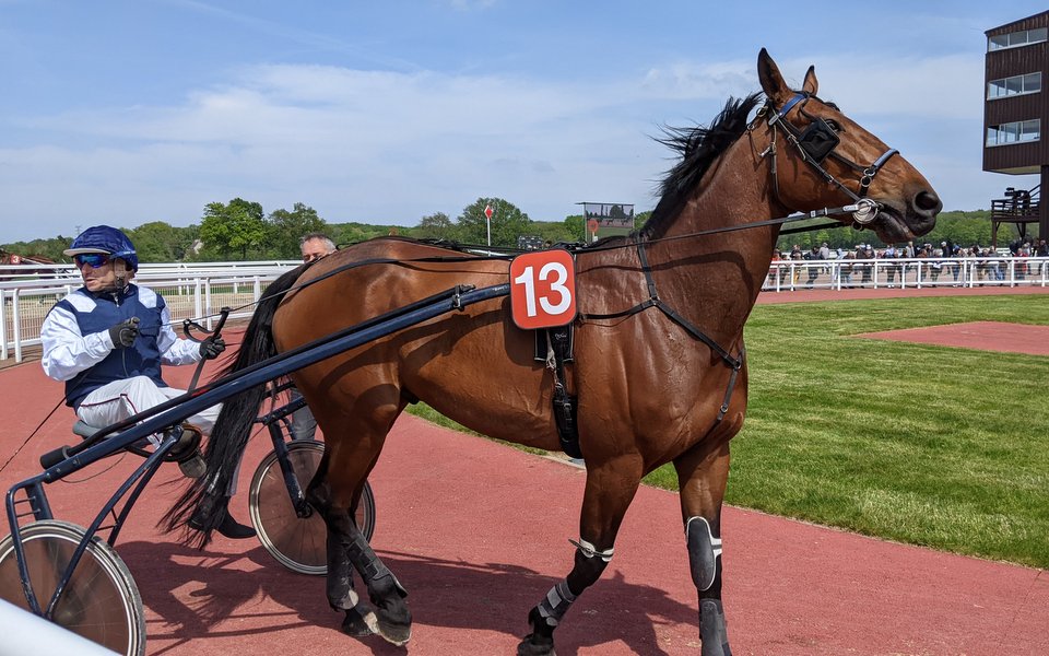 L'hippodrome de la Métairie Neuve clôt la saison dimanche